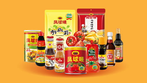 鳳球嘜 以戰略重塑品牌，用視覺點燃味蕾——調味品行業品牌全案策劃解析